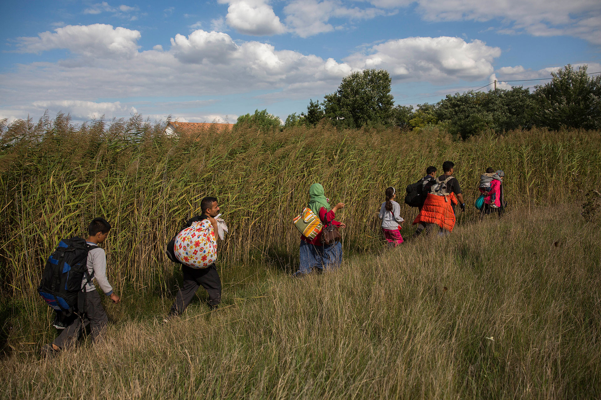 A family of refugees walks through farmlands in the Hungarian town of Roszke, on the border with Serbia, after fleeing from a police cordon. (Roszke, Hungary. 08/09/2015).
